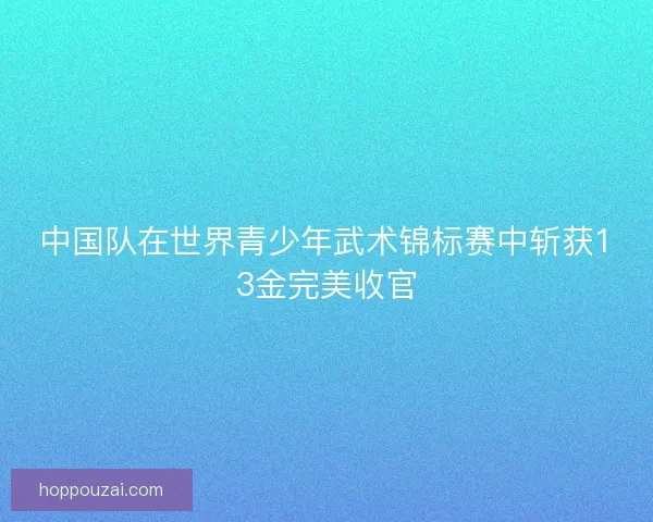 中国队在世界青少年武术锦标赛中斩获13金完美收官